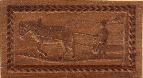 4177_x9,5_rückepferd_tiere
