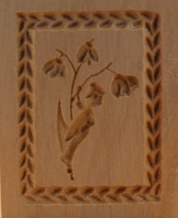 3156_Blumenfee_4,5x6,0_Pflanzen und Früchte