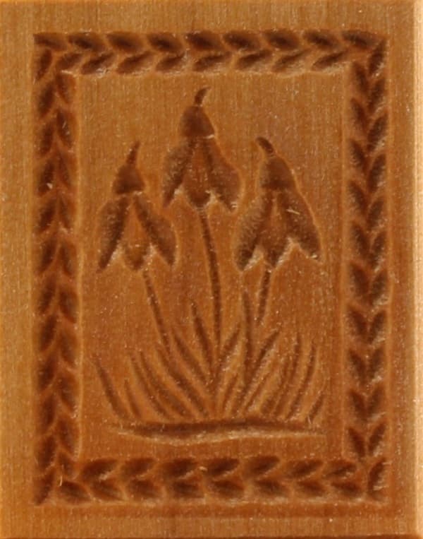 3134_3,0x4,0_Schneeglöckchen klein_Pflanzen und Früchte