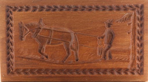 4177_5,0x9,2_rückepferd_tiere