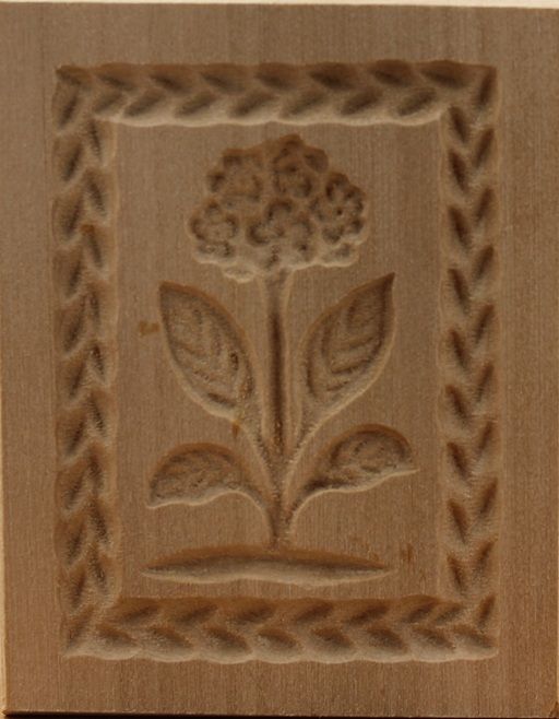 3197_4,5x6,0_Schlüsselblume_Pflanzen und Früchte