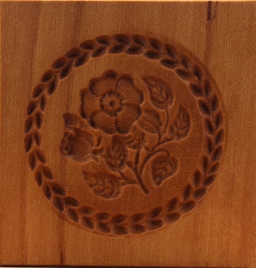 3140_6,0x6,0_Heckenrose_Pflanzen und Früchte