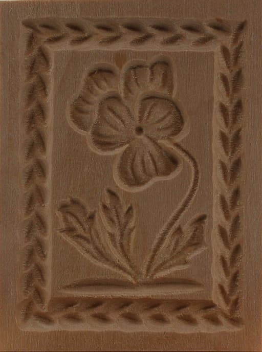 3108_4,5x6,0_Veilchen_Pflanzen und Früchte