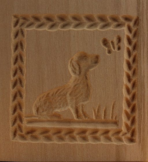 2211_5,0x5,5_Rauhaardackel mit Schmetterling_Tiere