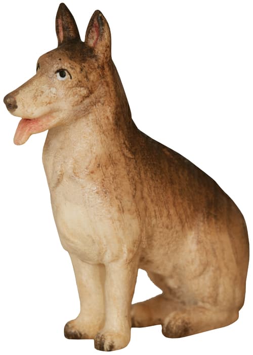 Schäferhund Schäferhund
